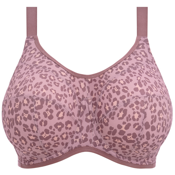 Bra Clearance Cheap Discounted Bras Buy Now Tagged "elomilingerie" PoinsettiaStyle.co.uk