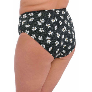 Elomi-Swim-Plain-Sailing-Bikini-Brief-Black-Daisy-ES7275BDY-Back