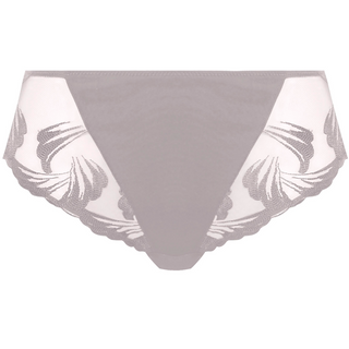 Fantasie-Lingerie-Anoushka-Silver-Brief-FL3215SIR