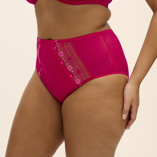 Elomi-Lingerie-Matilda-Hot-Pink-Full-Brief-EL8906HOK-Front