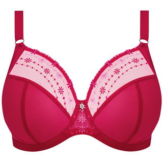 Elomi-Lingerie-Matilda-Hot-Pink-Plunge-Bra-EL8900HOK