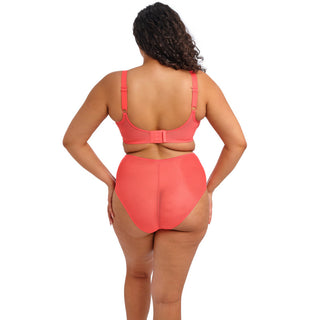 Elomi-Lingerie-Matilda-Sunset-Orange-Plunge-Bra-EL8900SUT-Full-Brief-EL8906SUT-Back