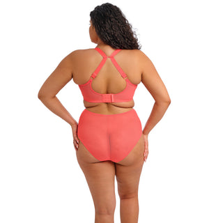Elomi-Lingerie-Matilda-Sunset-Orange-Plunge-Bra-Racerback-EL8900SUT-Full-Brief-EL8906SUT-Back