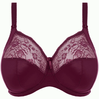 Elomi-Lingerie-Morgan-Blackberry-Purple-Full-Cup-Bra-EL4111BLY