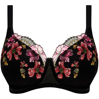 Elomi Teagan half cup bra in Rainbow, product cut-out