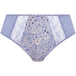 Blue Leopard
