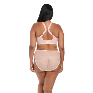 Elomi-Lingerie-Charley-Ballet-Pink-Plunge-Bra-Racerback-EL4382BAK-High-Leg-Brief-EL4386BAK-Back