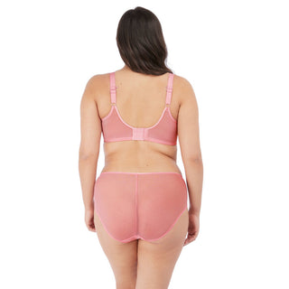 Elomi-Lingerie-Matilda-Rose-Pink-Plunge-Bra-EL8900ROE-Brief-EL8905ROE-Back