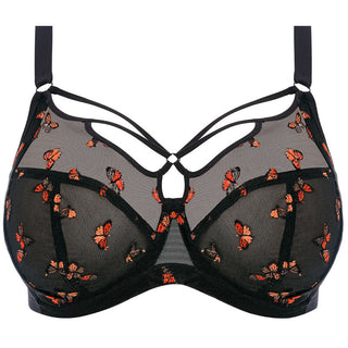 Elomi-Lingerie-Sachi-BlackButterfly-Print-Plunge-Bra-EL4353BFL